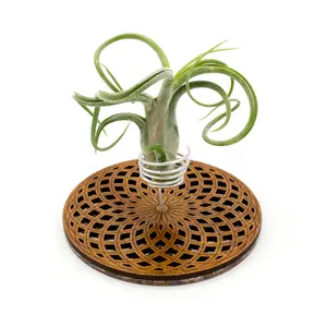 Wire Air Plant Holder 3 - Unique Plant Display Stand // Geometric Modern Wood Home Decor Table Shelf Desk Plant Lover Gift Idea