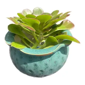 Petite Cute Ceramic Succulent Garden Pot with Perfect Crackled Design for Balcony, Dinning Table and Living Room - Excellent Gift Choice - Sturdy Terracotta Material with Mesh Included