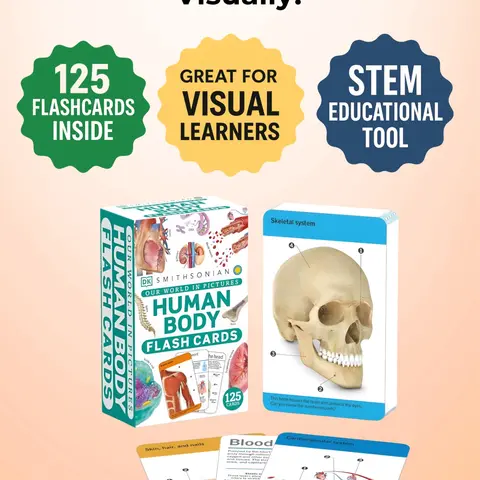 Human Body Anatomy Flashcards – Visual Learning Set with Detailed Pictures and Terms for Studying