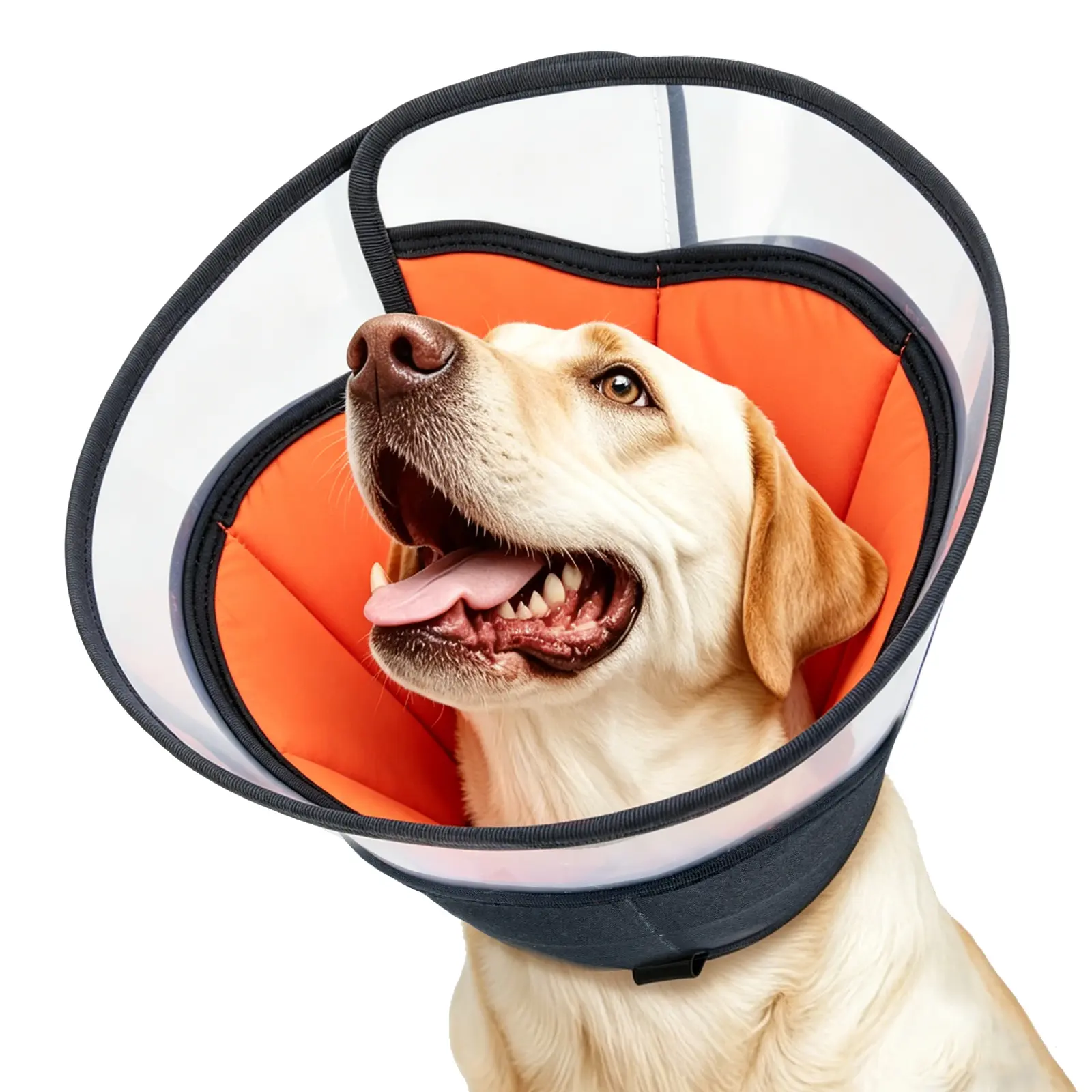 Adjustable Soft Dog Cone with Flexible Sizing, Lightweight Wide-View Pet Cone for Dogs (Indoor/Outdoor Use), Breathable PP Cotton Filling Fabric Accessory, Reflective Design for Visibility, Easy Cleaning