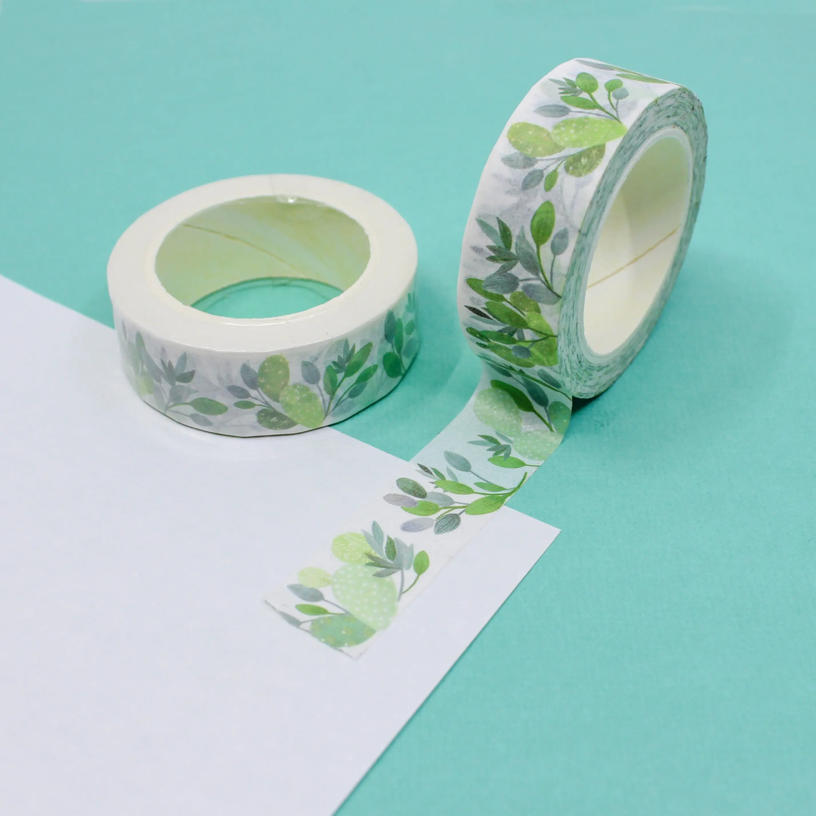 Green Cactus Washi