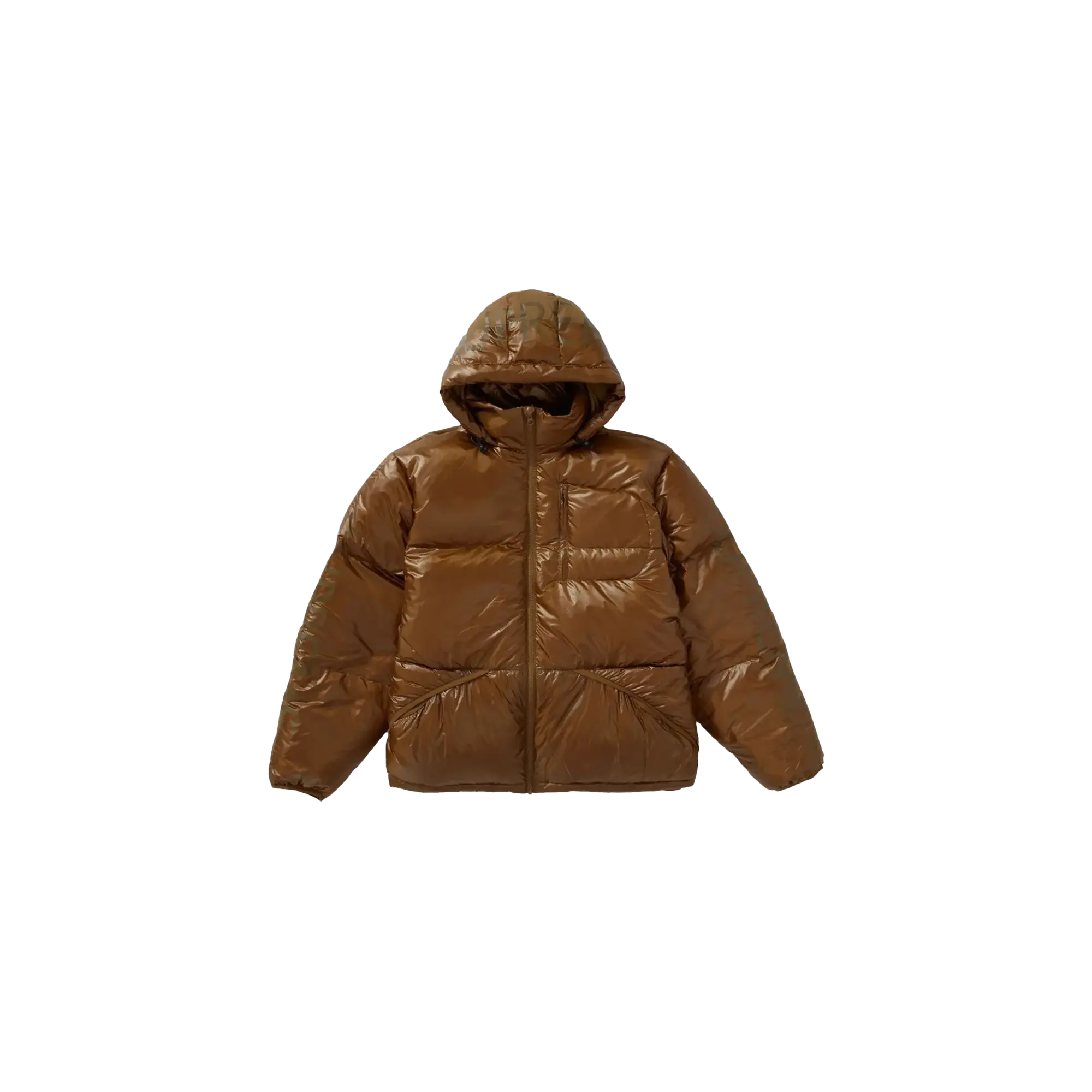 Hooded Down Jacket "FW21" FW21J24 BROWN