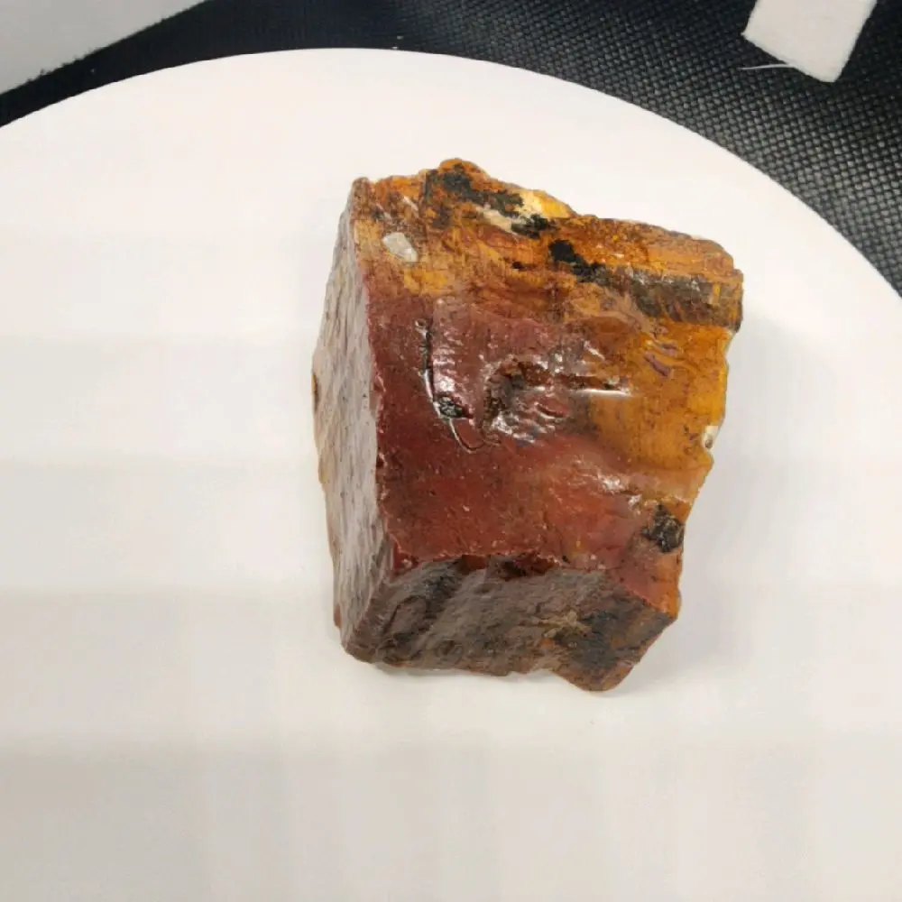 fossilized wood big pieces rough and untumbled