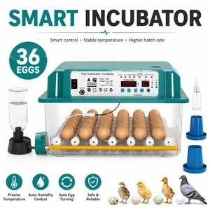 Professional 36-Egg Automatic Incubator [2026 Upgraded] | Smart Poultry Hatcher with Auto Turner & Intelligent Climate Control for All Eggs