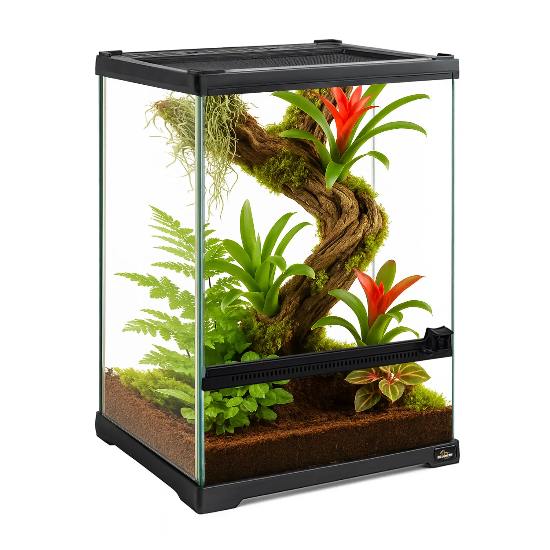 MCLANZOO Mini Reptile Glass Terrarium Tank , Full View with Front ...