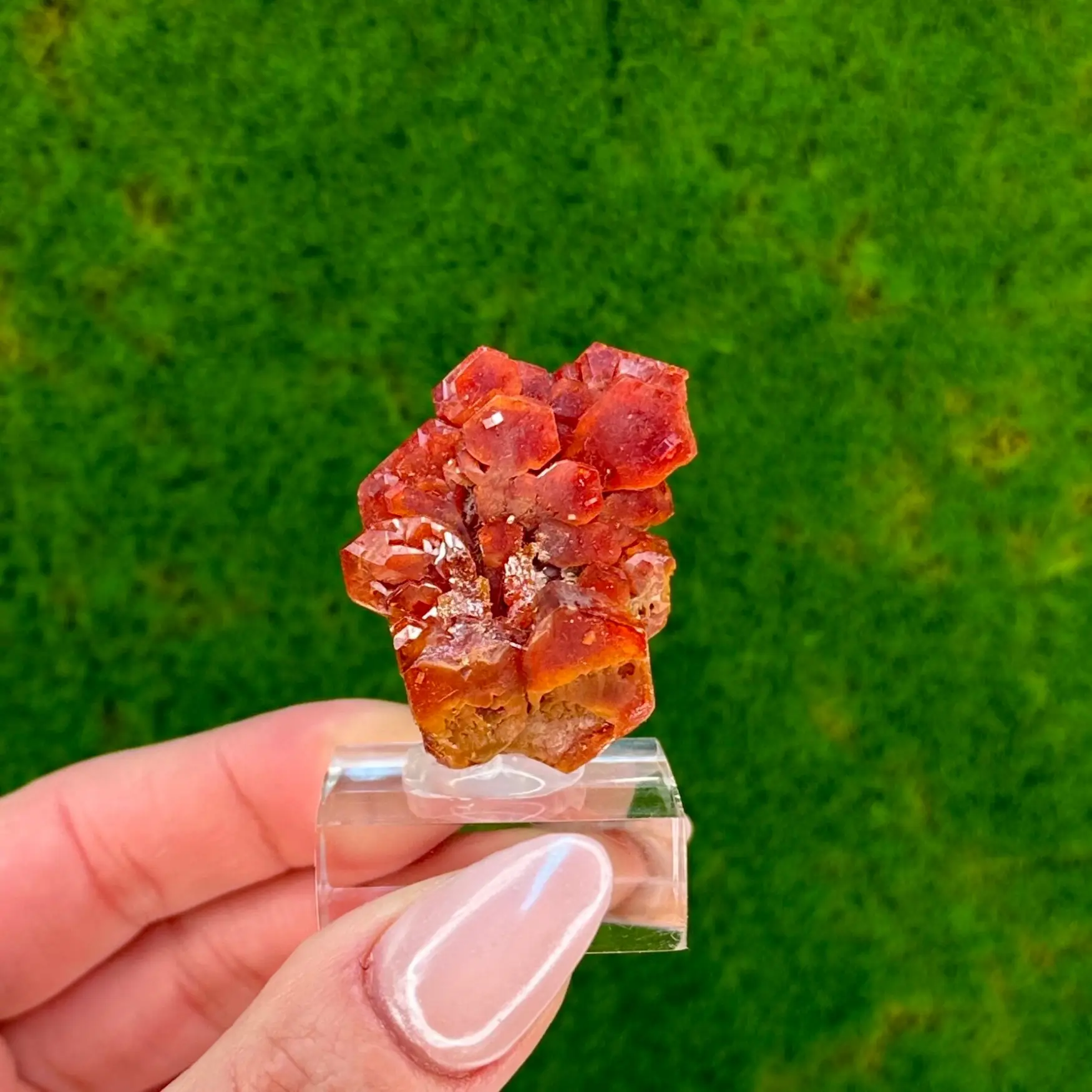 Red Vanadanite Cluster from Morocco | Large Crystal | Vivid Red