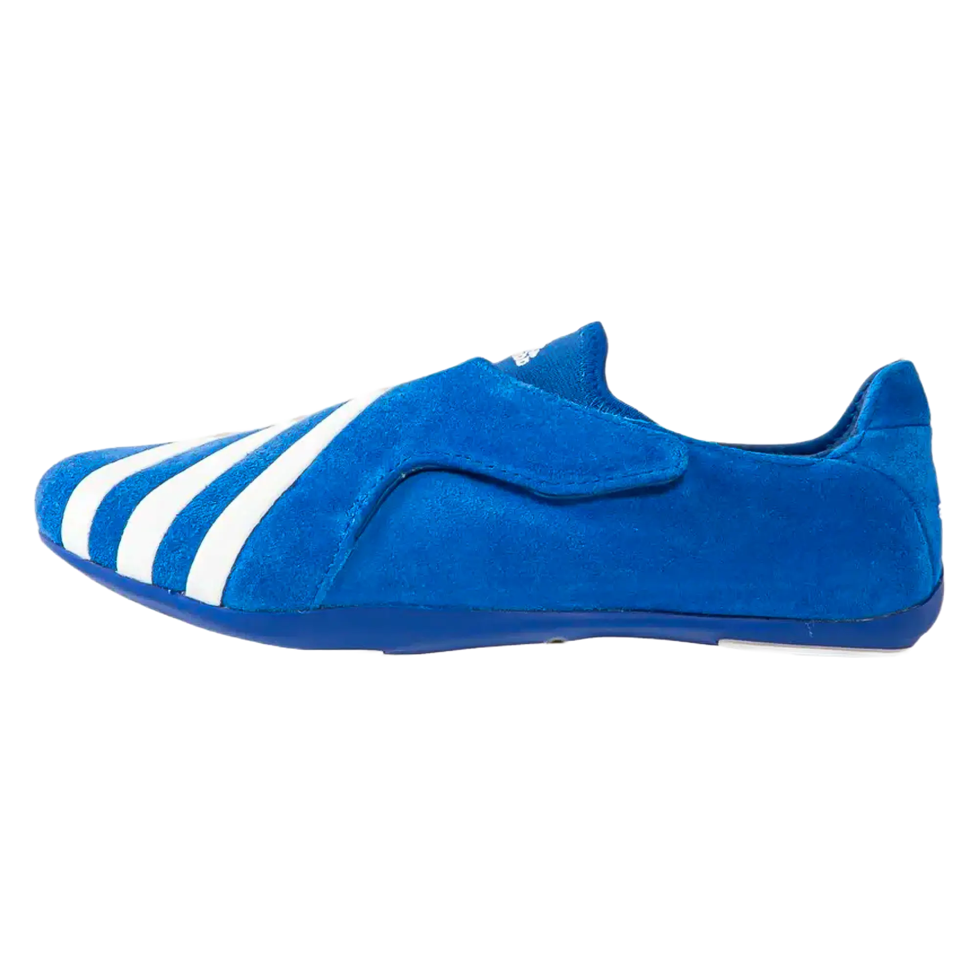 Vario Flat Earther "Pharrell Blue White" KJ9380