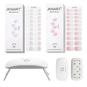 Professional Transferable Nail Art Kit, 2 Boxes Nail Art Stickers & 1 Count UV Lamp, Portable Nail Art Tool for Women & Girls, Manicure Accessories, Gel Nail Sticker Set