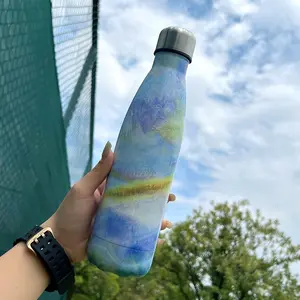 Stainless Steel Cartoon Vacuum Soda Bottle, 500ML/16.9oz, Ideal for Work, School, Sports, Travel, Durable and Portable Design