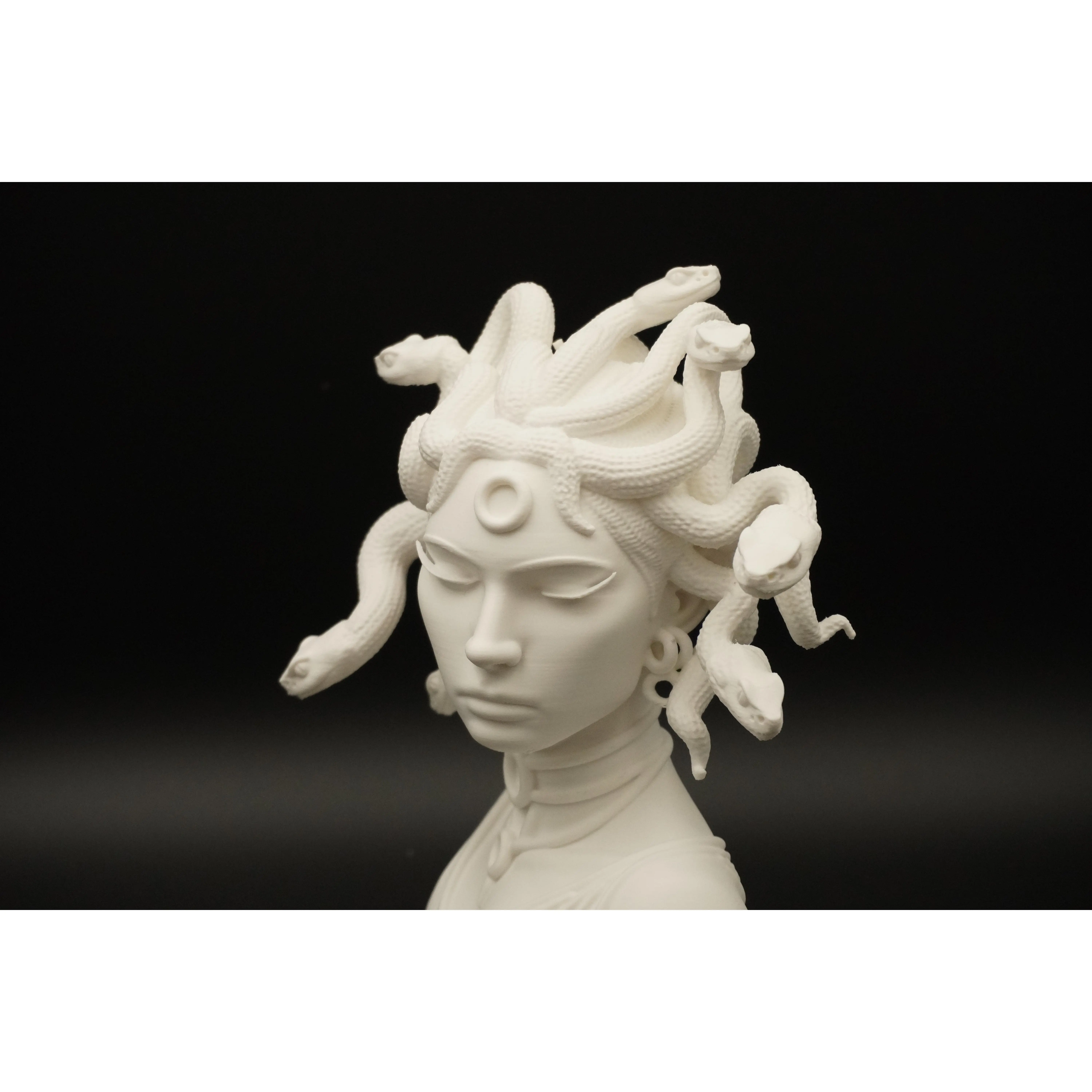 Medusa Bust - Mythis 3D Printed Shelf Sculpture - TikTok Shop