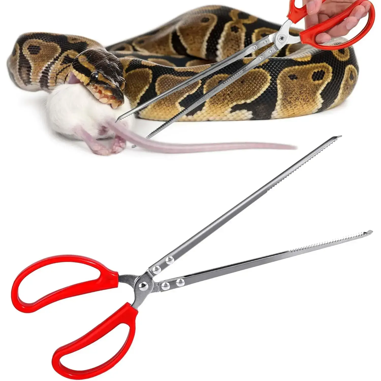 15-Inch Stainless Steel Reptile Feeding Tongs - Serrated, Silicone-Tipped Pet Feeding Tool with Secure Grip, Non-Slip Handle for Ball Python, Bearded Dragon Terrarium Accessories