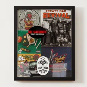 Treaty Oak Revival Collage Poster No Frame, Wall Art, Album Decor, Music Art