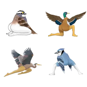 Precise Bird Stickers for Expert Birders (4-Pack) - 2024 First Edition funny sticker office decor