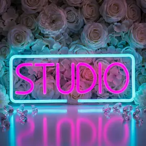 Studio Neon Light, USB Powered Wall-Mounted Glowing Letters, Music Studio, Bar, Bedroom, Party, Club, Garage, Home Decor, Neon Signs, Indoor Decorative Light, No Battery Required!