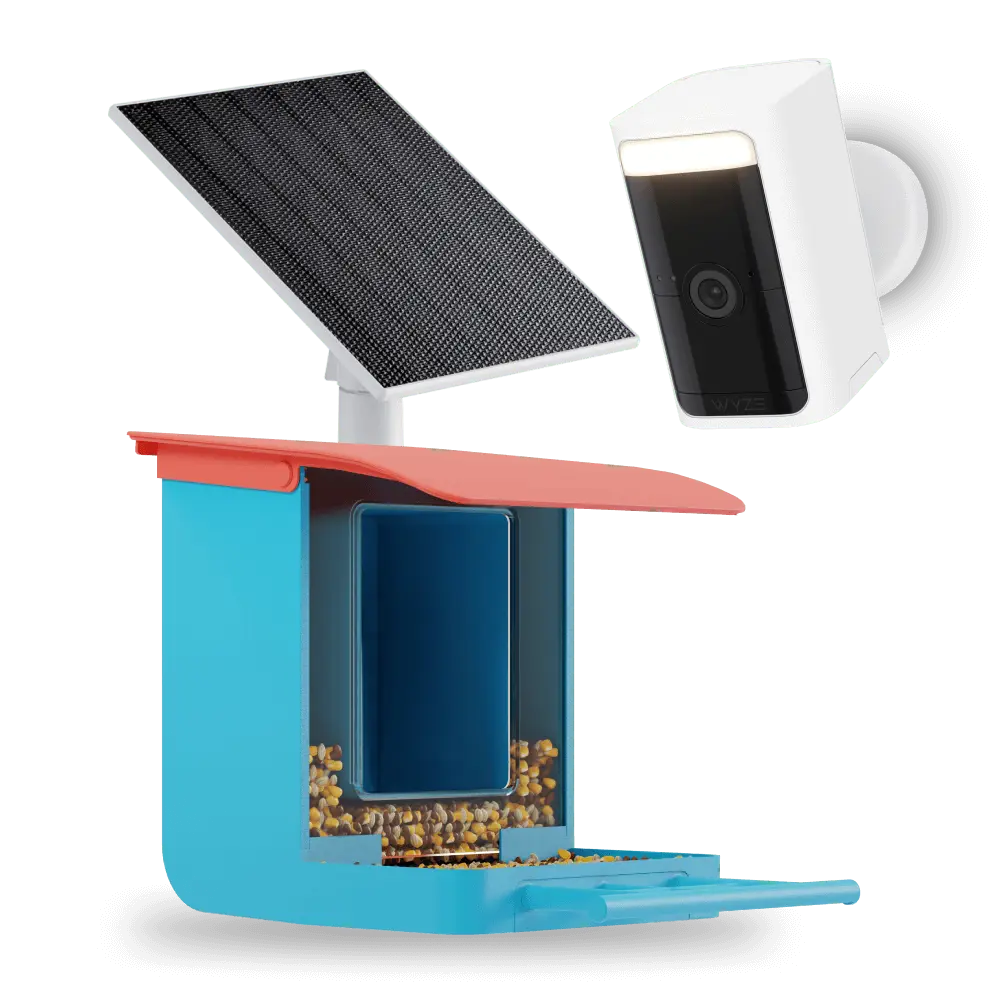 Blue Bird Feeder + Battery Cam Pro + Solar Panel