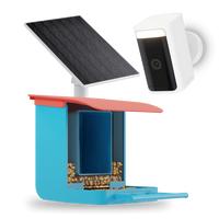 Blue Bird Feeder + Battery Cam Pro + Solar Panel