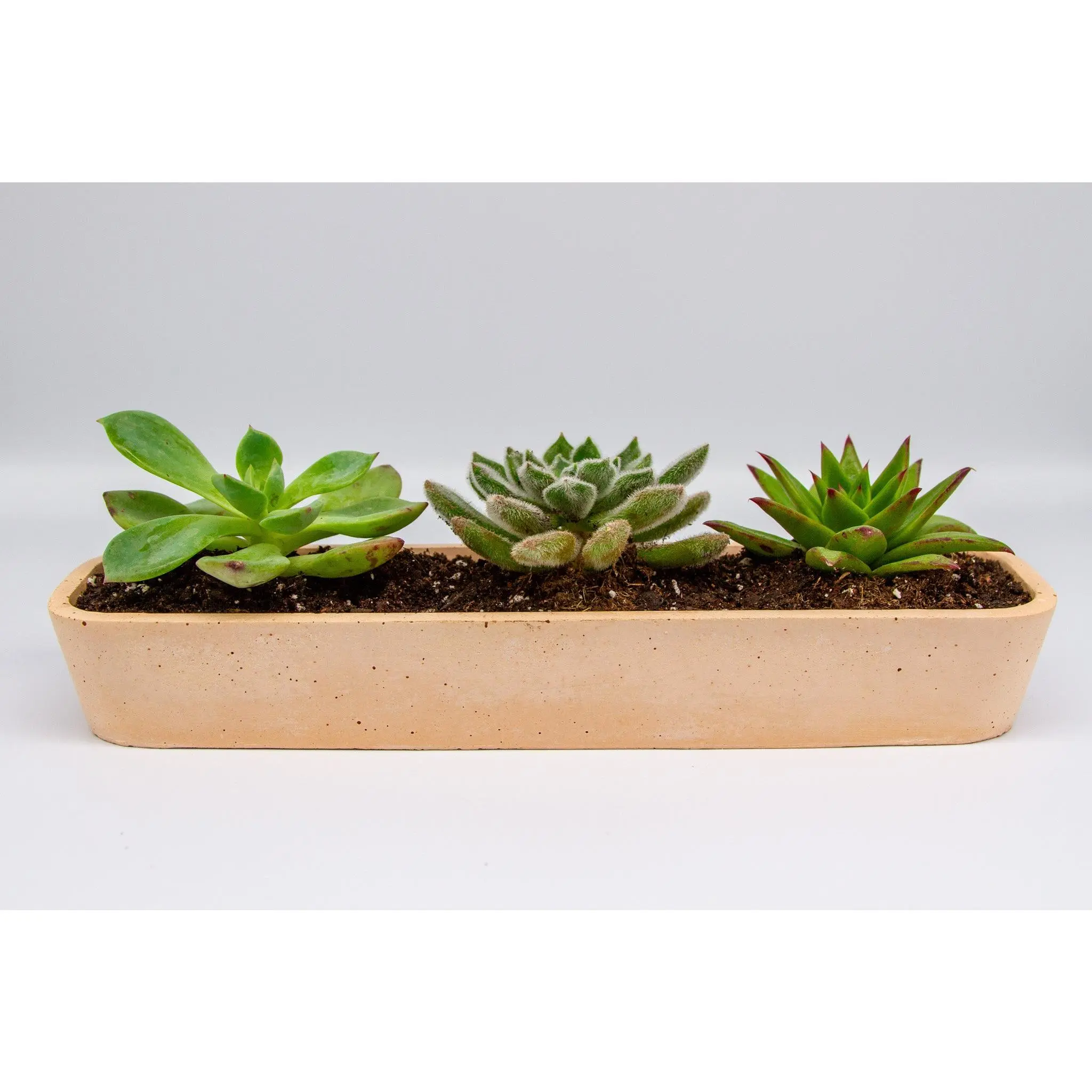 Concrete Succulent Planter –  Long Planter for Indoor & Outdoor Decor