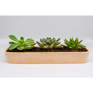 Concrete Succulent Planter –  Long Planter for Indoor & Outdoor Decor