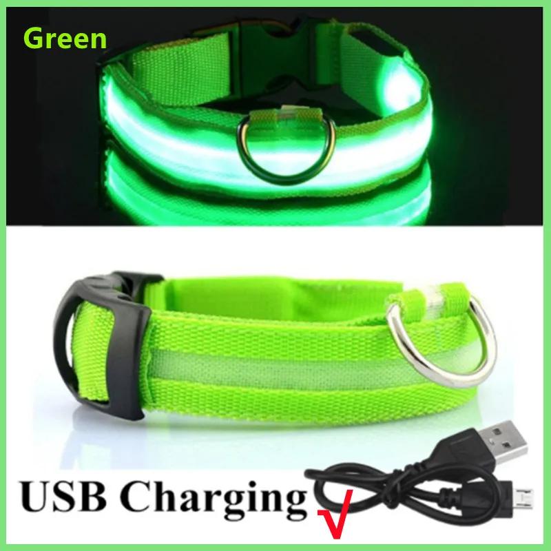 3 Modes Dog Luminous Charge Collar Led Usb Cat Dogs Collars Detachable Night Led Glow Dog Loss Prevention Collar Pet Accessories 3 Modes Dog Luminous Charge Collar Led Usb Cat Dogs Collars Detachable Night Led Glow Dog Loss Prevention Collar Pet Accessories