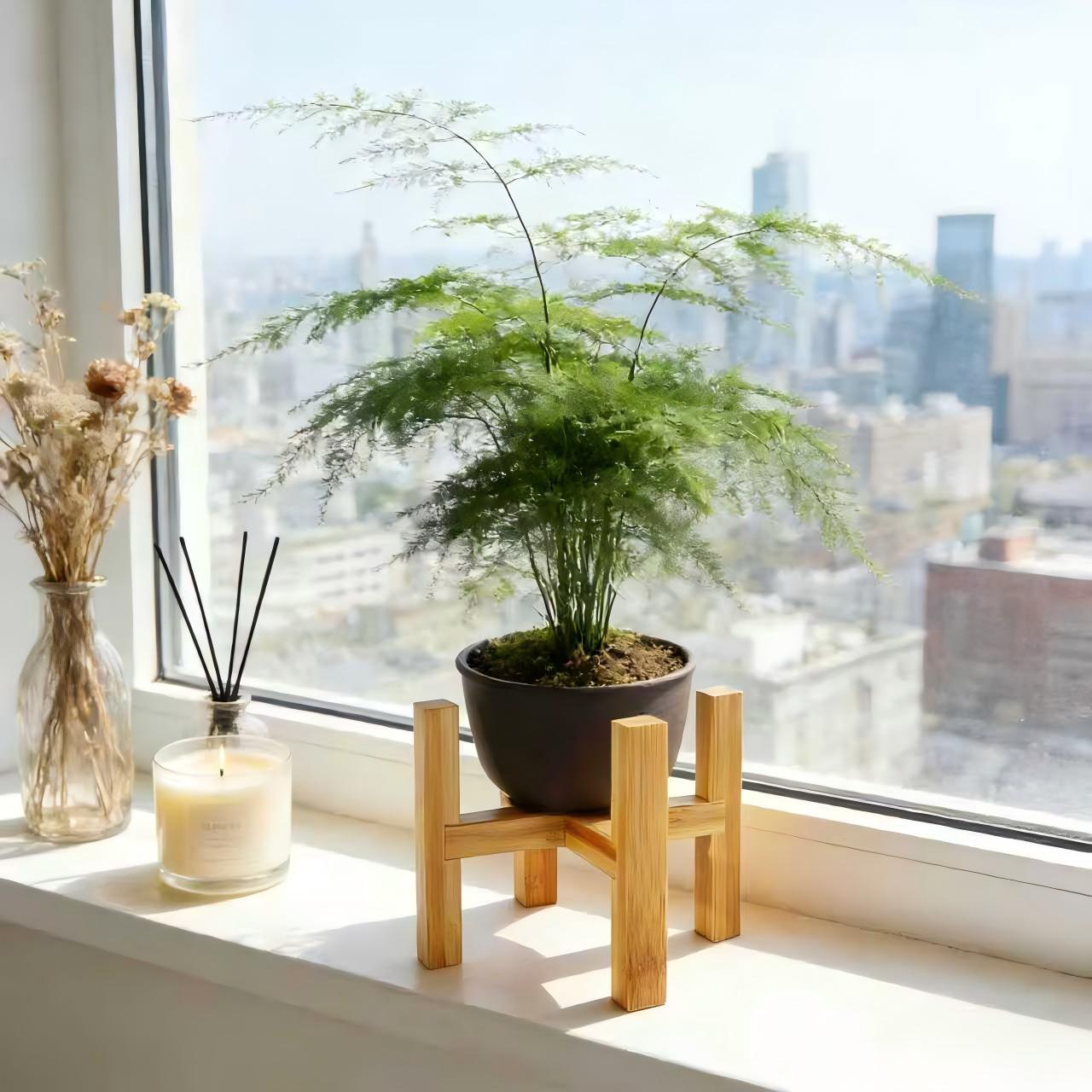 1pc Bamboo Cross Plant Stand – Mid Century Modern 4 Legged Adjustable Plant Holder, Natural Wood Flower Pot Rack Fits 11cm Planters, Rustic Display for Succulents Herbs, Indoor Outdoor Home Decor for Balcony Desk Living Room 1pc Bamboo Cross Plant Stand – Mid Century Modern 4 Legged Adjustable Plant Holder, Natural Wood Flower Pot Rack Fits 11cm Planters, Rustic Display for Succulents Herbs, Indoor Outdoor Home Decor for Balcony Desk Living Room