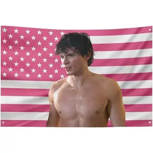 Tom Welling Pink American Flag Tapestry 3x5 FT - Polyester Smallville Clark Kent Wall Hanging for Bedroom Decor, Pop Culture Aesthetic Banner