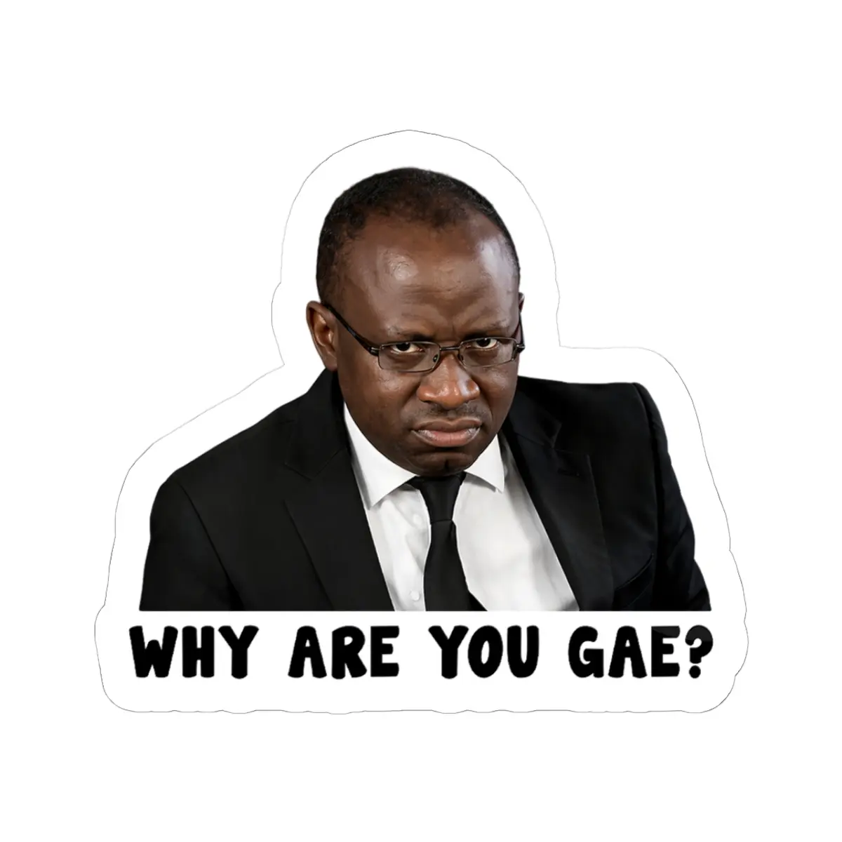 Meme Funny Sticker Why are you GAE ? Sticker meme