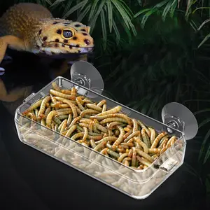 1pcs Reptile Escape-Proof Feeder, Ideal for Lizards, Geckos, Chameleons, Easy to Clean, Perfect for Pet Owners, Durable Design