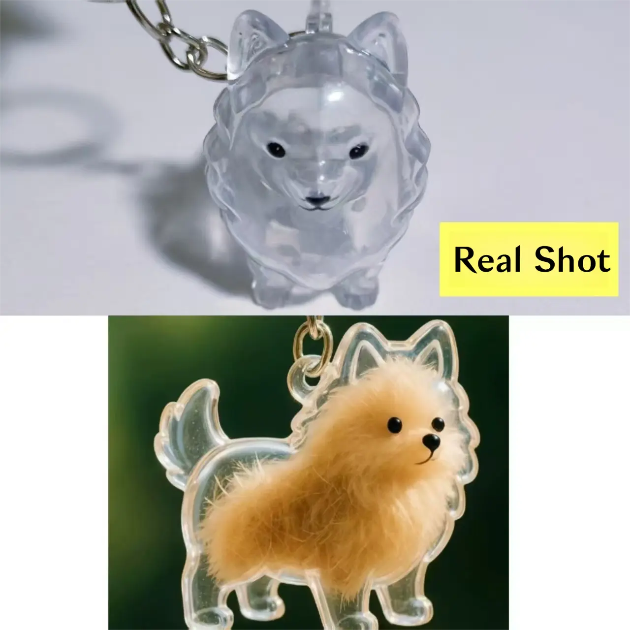 Pomeranian with a Raised Tail [with a Keychain]