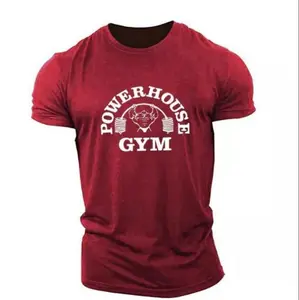 Men's Workout Inspired short sleeve Gym Bodybuilding T-shirts, House Gym Muscle Shirts, Fitness Tee, Gift Gymer Top Him Wear