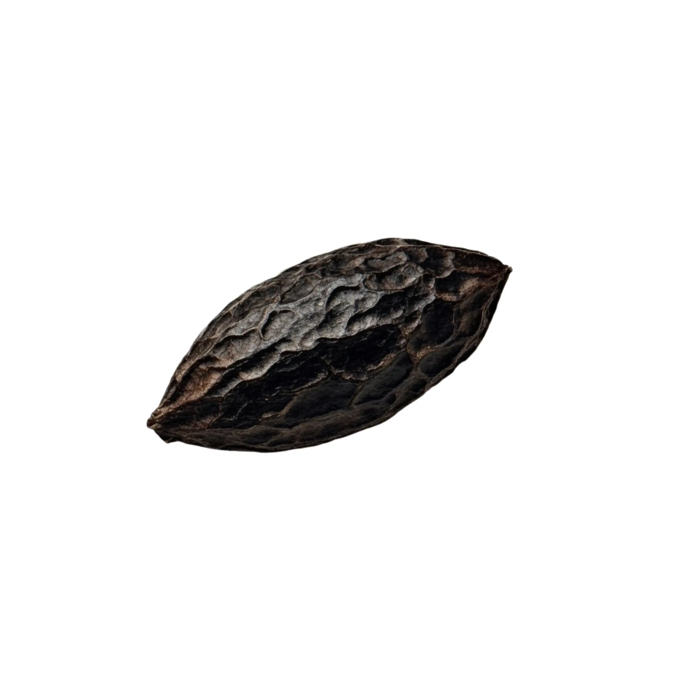 Tonka Bean – Warm Sweet Gourmand Solid Perfume Pod