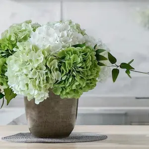 White Hydrangea