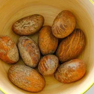 Bitter Kola Nut Garcinia Kola Cola 12oz