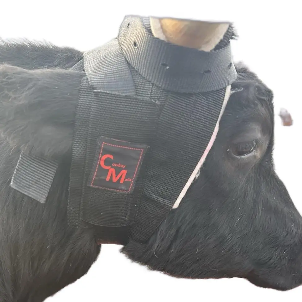 Cowboy Mafia Steer Horn Wrap