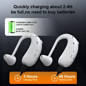 2pcs Rechargeable Hearing Aids with Charging Case, In-Ear Design for Seniors, Soft Silicone Ear Tips for Comfortable Listening