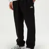 THE NORTH FACE Evolution Straight Leg Mens Sweatpants