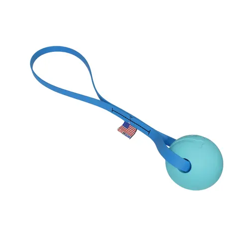 Interactive Ball Tug Classic - Tough Flexible BioThane Loop Handle for Medium to Large Dogs & 2.5-inch Ball Launcher Compatible Made in USA