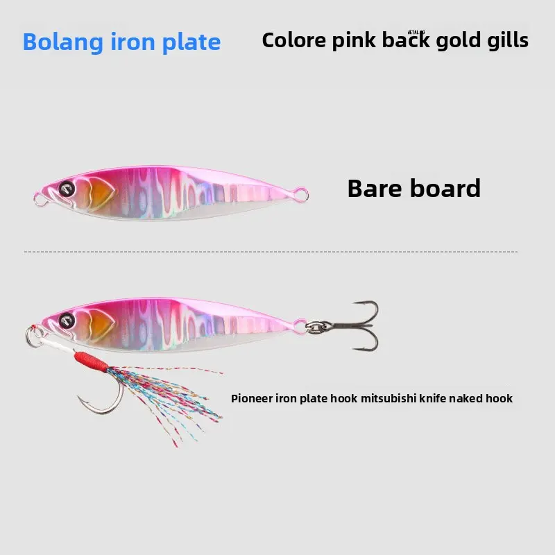 Colorful powdery sea bass