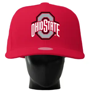 Ohio State Buckeyes Noggin