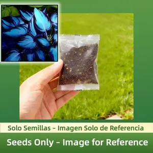800 PCS  Seeds - Beautiful Shade-Tolerant Perennials for Garden Borders & Walkways - High-Germination, Easy to Grow, Low Maintenance, All Seasons
