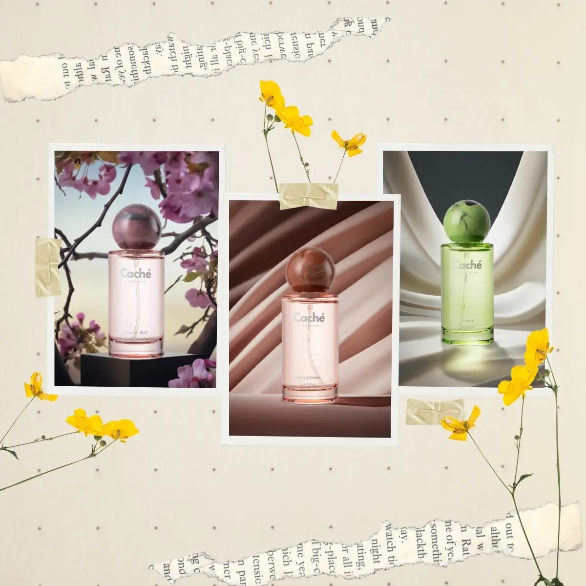 Caché Fragrance | Paris en Nuit + Santalé + Cèdre Céleste | Woods of Nuit | Eau De Parfum (3 x 1.7oz / 50ml)