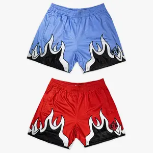 Baseball Lifestyle 101  Flame Youth Mesh Shorts – 5 Premium Athletic Shorts for Youth & Adults  Lightweight Breathable Summer Sports Shorts  Baseball Training, Gym & Everyday Activewear