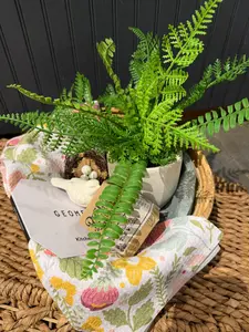 Gift Basket