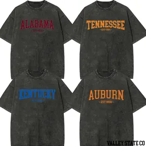 Vintage Distressed Varsity State Washed T-Shirt Unisex Faded Graphic Tee Athletic Style Casual Outfit for Students, Gift for Friends on Back to School & Holidays
