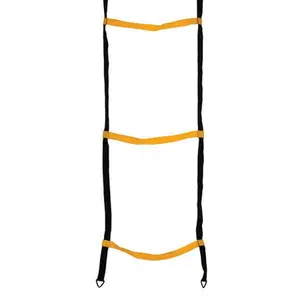 Web Agility Ladder