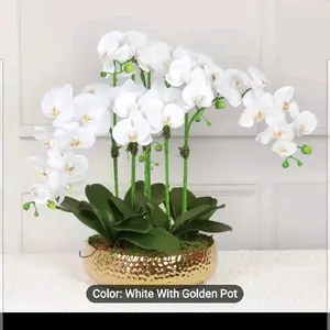 Elegant Faux White Orchid Arrangement - Timeless Touch for Home Decor with Golden Pot Decorative Fruit