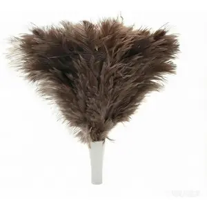 Feather Duster, Ostrich Feather Duster Replacement Head, Reusable Ostrich Feather Duster, Brown (Replacement Head Only)