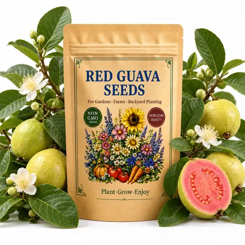 100 Red Guava Seeds for Planting, Tropical Guava Tree for Warm Gardens