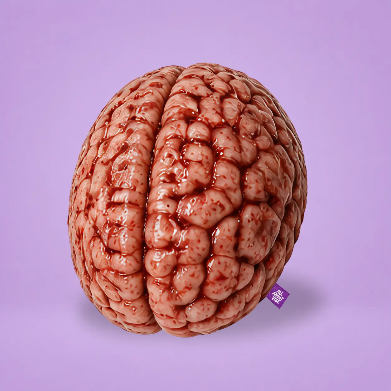 Bloody Brain Pillow | All About Vibe – Creepy 3D Brain Throw Pillow for Halloween Decor | Ultra-Soft Velvet, Funny Horror Gift, Made in USA