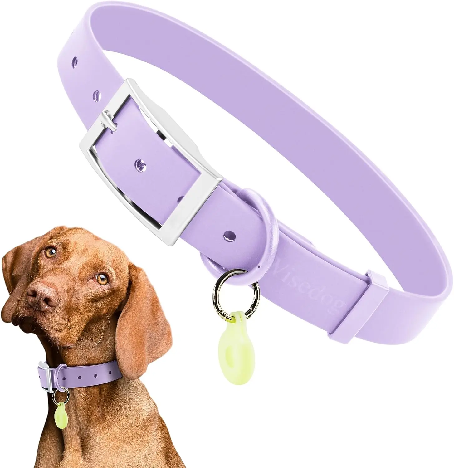 Wisedog Waterproof Dog Collar, XS 7"-10", Lilac | Adjustable, Soft Rubber Coated Webbing, Odor-Proof, Easy to Clean, Small Medium Large Dogs