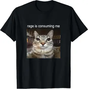100% CottonRage is Consuming Me Silly Staring Cat Meme T-Shirt